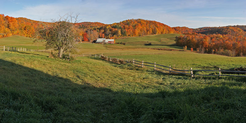 Fall 08 VT