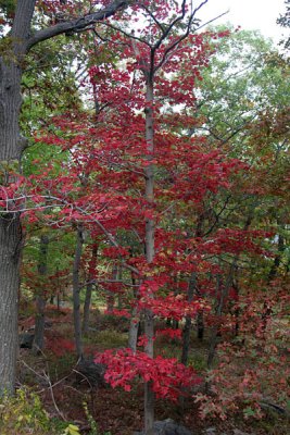 Seven Lakes Bear Mt NY