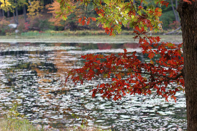 Seven Lakes Bear Mt NY