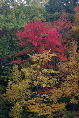 Seven Lakes Bear Mt NY