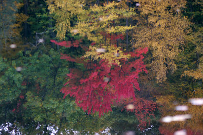 Seven Lakes Bear Mt NY