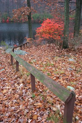 Seven Lakes Bear Mt NY