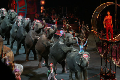 Ringling Bros. circus Nassau Coliseum 2009