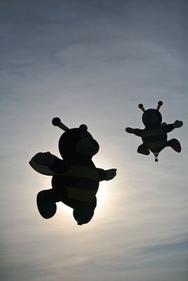 IMG_4946.jpg