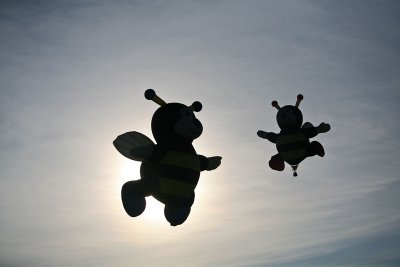 IMG_4949.jpg