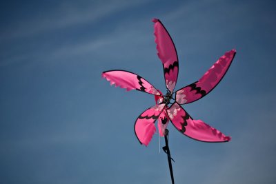 IMG_5042.jpg