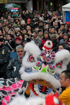 New Year Parade & Festival