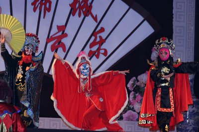 2007 China Show & Stage Performance