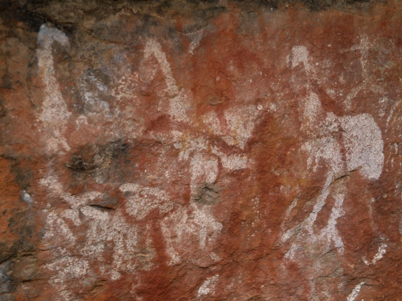 Depiction of emus