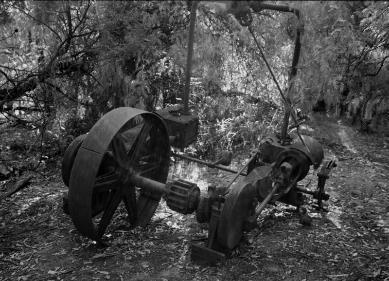 Abandoned at Yerranderie