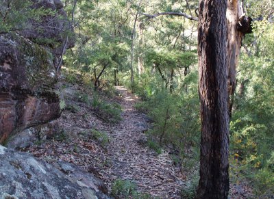 A level stretch below the escarpment