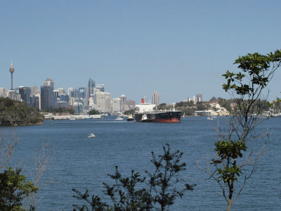 View towards Sydney CBD