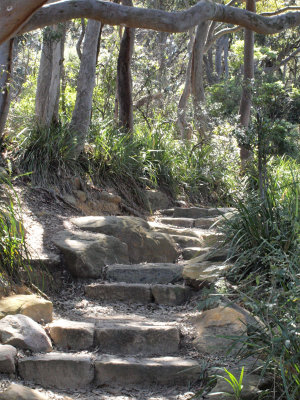 Walks around Sydney Harbour