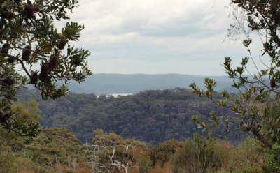 A Glimpse of  the Hawkesbury