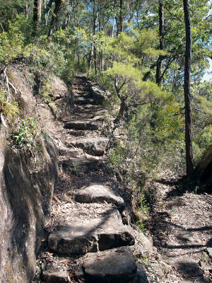 Track to Terrace Falls  2