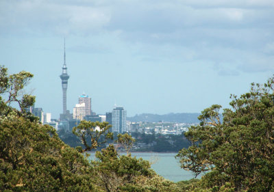 A glimpse of Auckland CBD