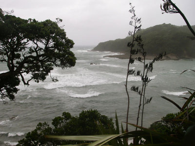 Goat Island Marine Reserve