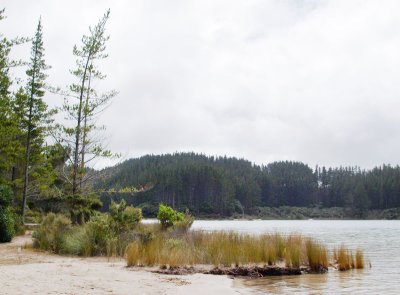 Beside a campground, Lake Taharoa