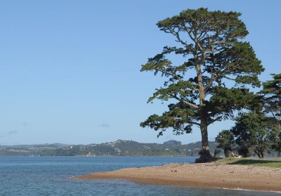 Western tip of Moturoa Island
