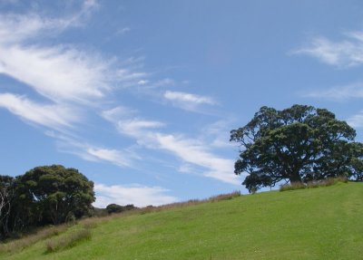 Skyline, Urupukapuka Island