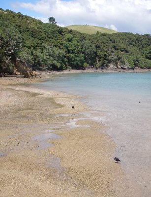 Beach, Otehei Bay