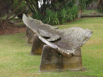 Remains of ancient Maori canoe