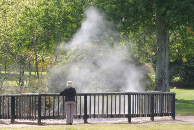 Geothermal activity in a city park