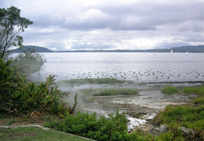 Lake Rotorua - 1