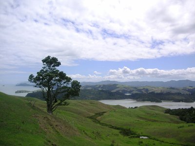 View over Manaia Harbour  1