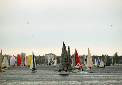 Dull day, coloured sails