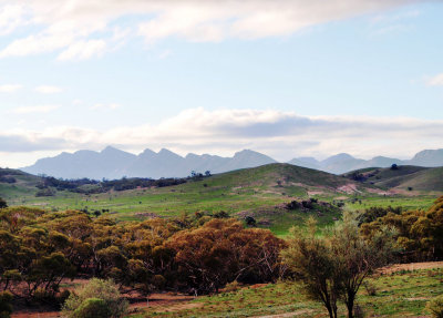 6: On the road to Wilpena