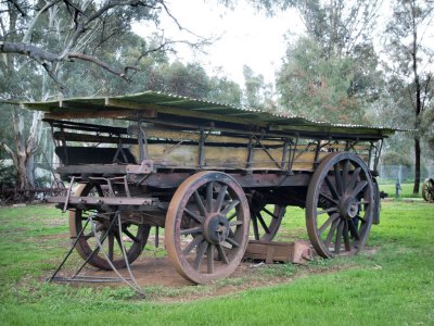 Camel wagon  1