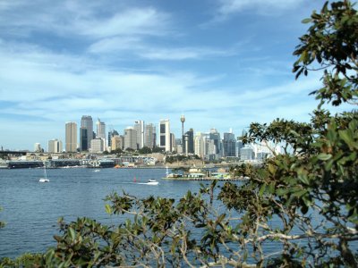 View from Balls Head