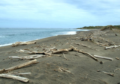 Beach west of Sigatoka