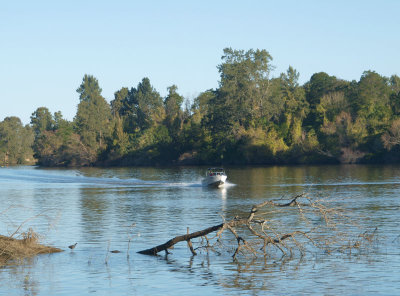 Hawkesbury River at Cattai  1