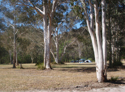 Burralow Camp Ground 2012