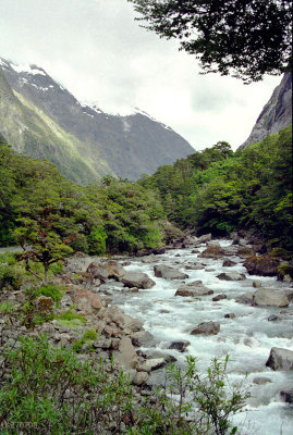 On the road to Milford Sound