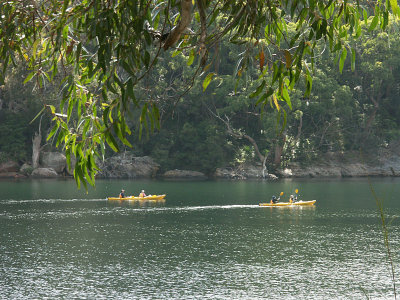 Kayaks in North Arm Cove