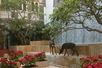 Taj Mahal Hotel - Mumbai - Lobby Holiday display.jpg