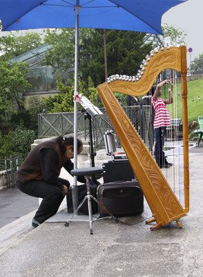 Picture in the Harp.jpg