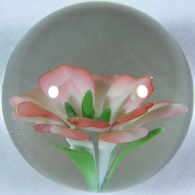 Sabina used gold fuming over top of the white glass base to achieve this stunning pink color on the tips of the petals.