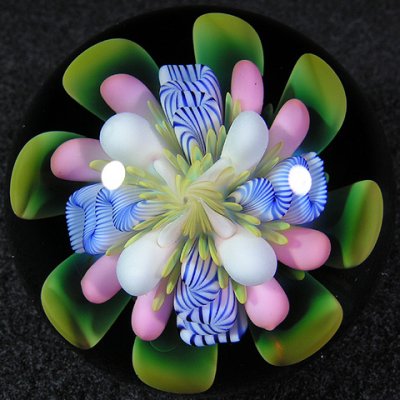 Blooming Tubule Size: 1.54 Price: SOLD
