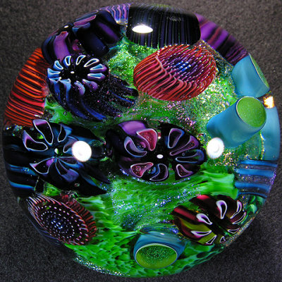 g1/17/390417/3/109535590.EICOQOS0.jpg