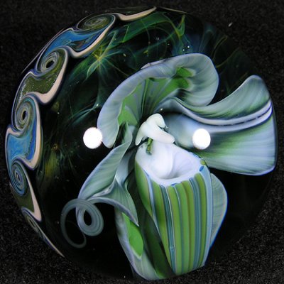 Slipper Orchid by John; fuming, backside and finishing by Josh