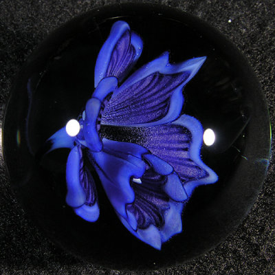 The blue in this orchid is mind-bogglingly gorgeous.  I've literally never seen blue this bright in a marble.