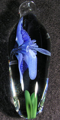 John's signature slipper orchid, made with the gorgeous blue 'blizzard' glass.  Now in pendants, woohoo!