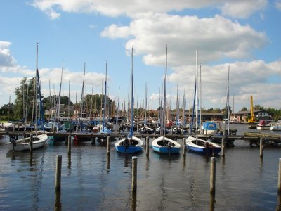 61DSC01554.jpg