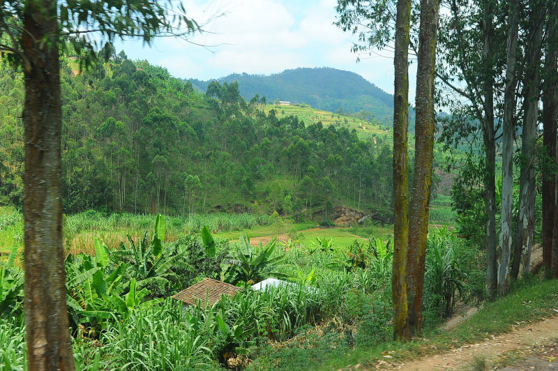 Rwanda the land of thousand hills