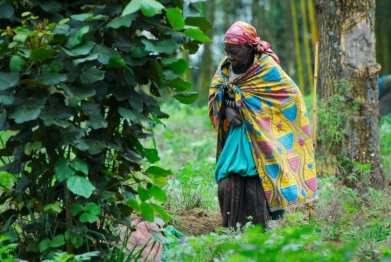 old woman of Kinigi