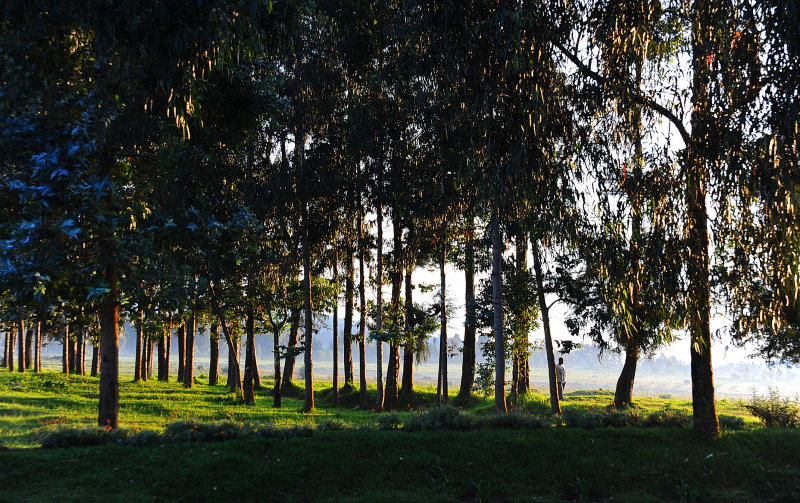 A beautiful morning of our trekking day.